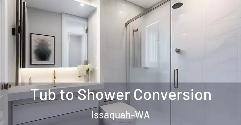 inner Bathroom imggen Tub to Shower Conversion Issaquah-WA
