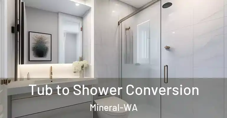 inner Bathroom imggen Tub to Shower Conversion Mineral-WA