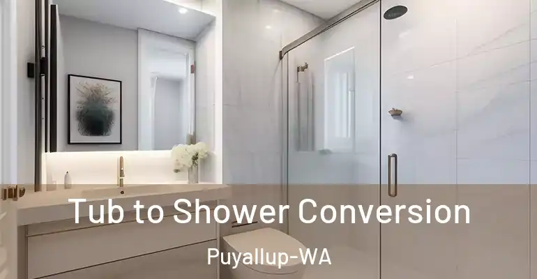 inner Bathroom imggen Tub to Shower Conversion Puyallup-WA