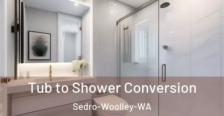 inner Bathroom imggen Tub to Shower Conversion Sedro-Woolley-WA