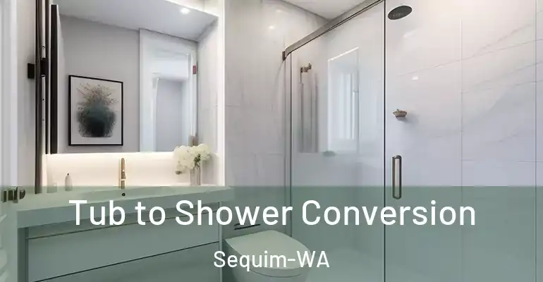 inner Bathroom imggen Tub to Shower Conversion Sequim-WA