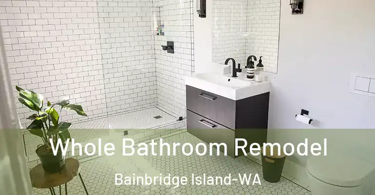 inner Bathroom imggen Whole Bathroom Remodel Bainbridge Island-WA