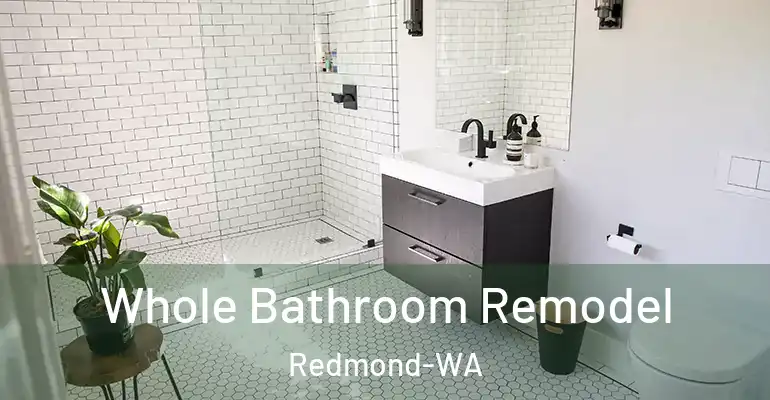 inner Bathroom imggen Whole Bathroom Remodel Redmond-WA