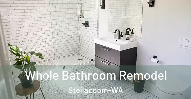 inner Bathroom imggen Whole Bathroom Remodel Steilacoom-WA