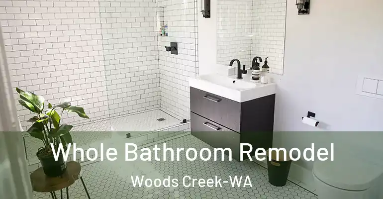 inner Bathroom imggen Whole Bathroom Remodel Woods Creek-WA